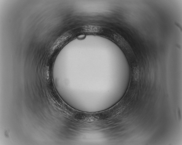 X0000102810731200809021158