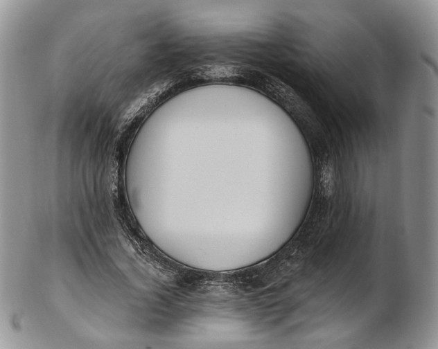 X0000102810732200809021158