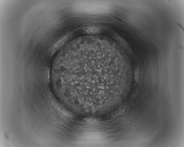 X0000102810733200809021158