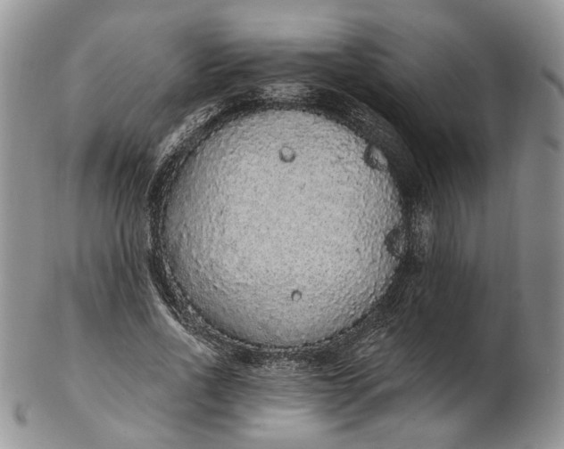 X0000102810734200809021158