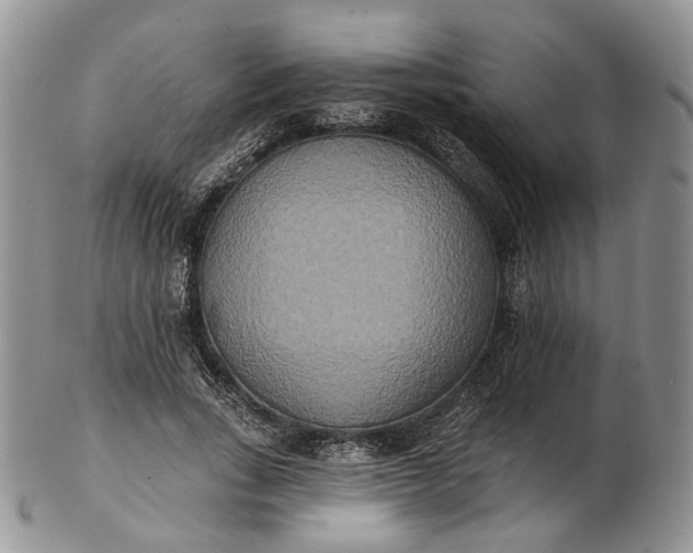 X0000102810735200809021158