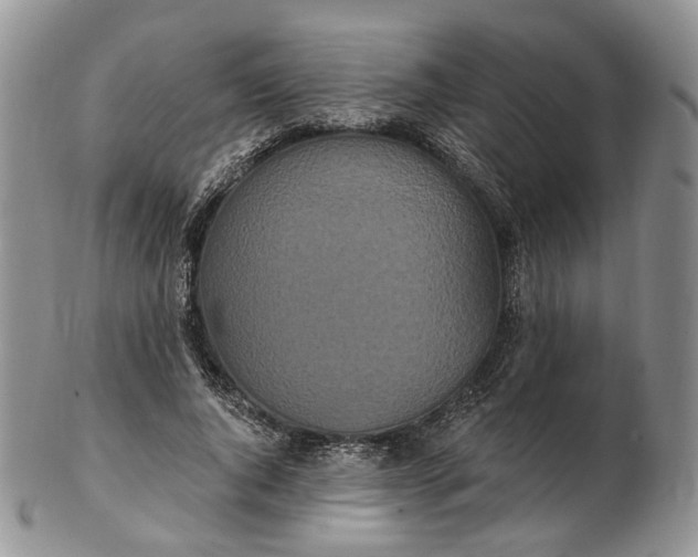 X0000102810736200809021158