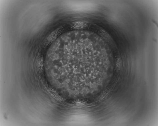 X0000102810737200809021158