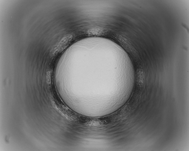 X0000102810738200809021158