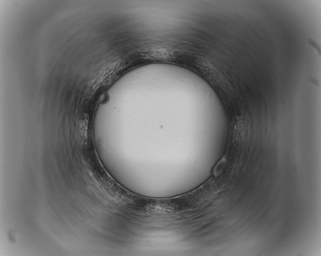 X0000102810739200809021158