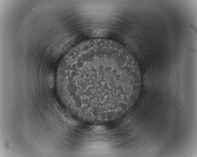 X0000102810741200809021158