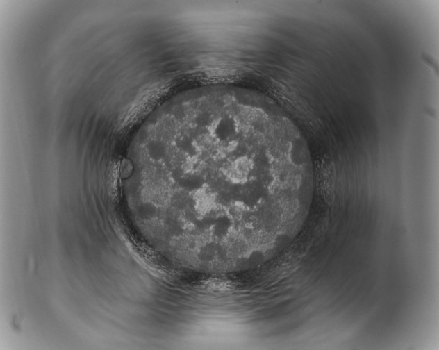 X0000102810742200809021158