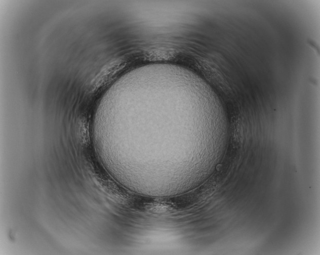 X0000102810743200809021158