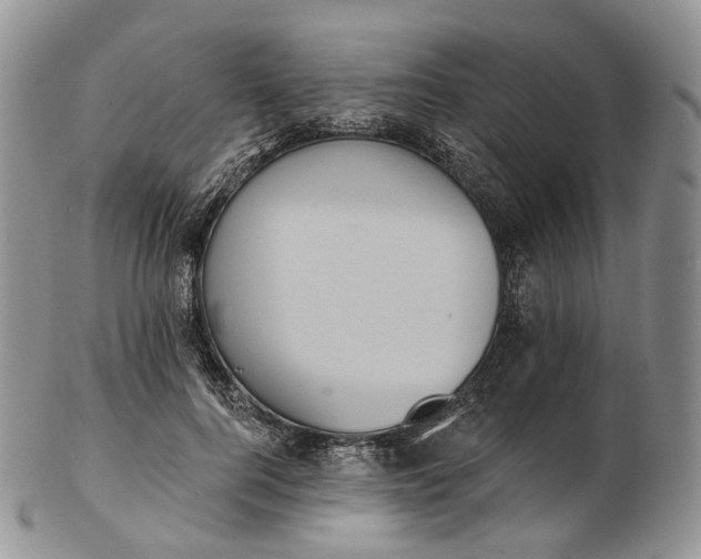 X0000102810744200809021158