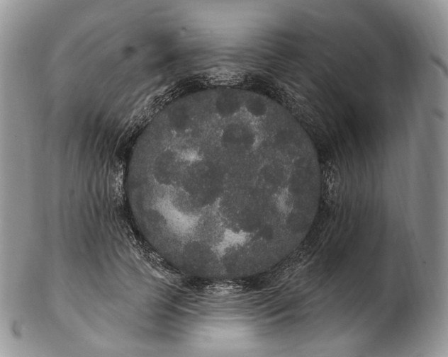 X0000102810745200809021158