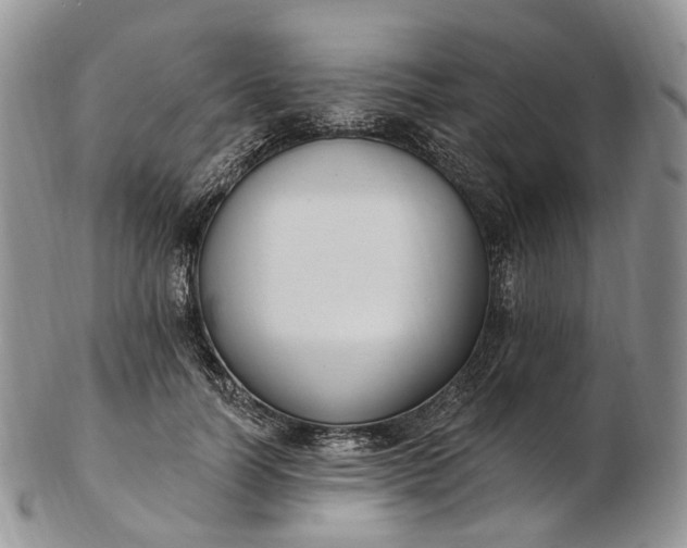 X0000102810746200809021158