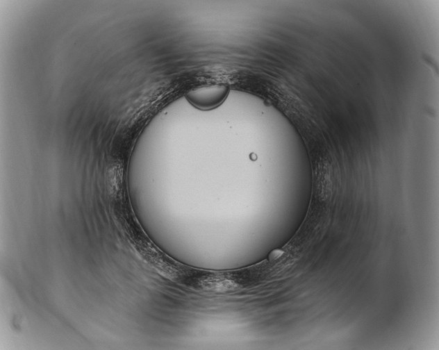 X0000102810747200809021158