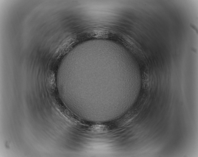 X0000102810748200809021158