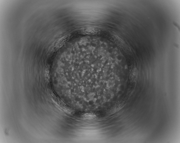 X0000102810749200809021158