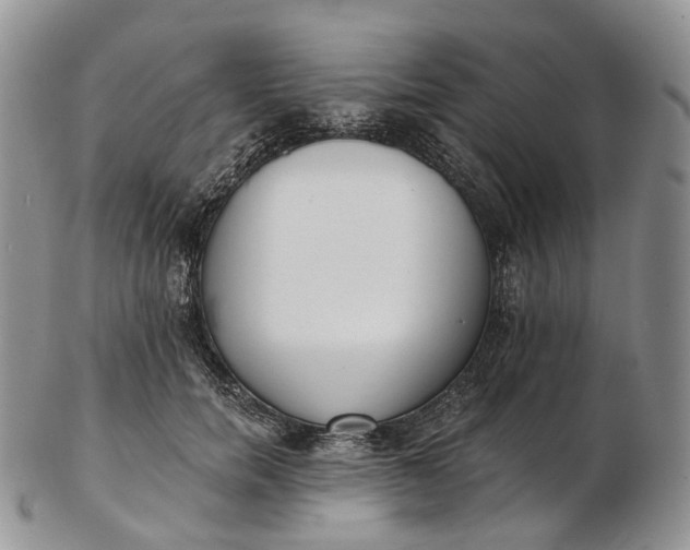 X0000102810750200809021158