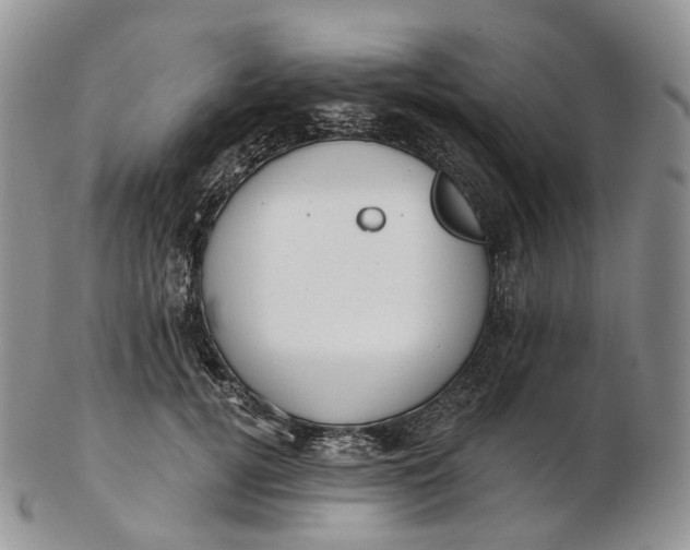 X0000102810752200809021158