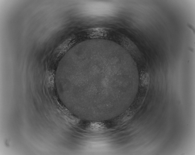 X0000102810753200809021158