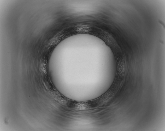 X0000102810755200809021158