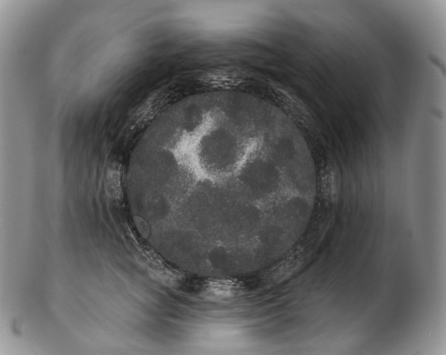 X0000102810757200809021158