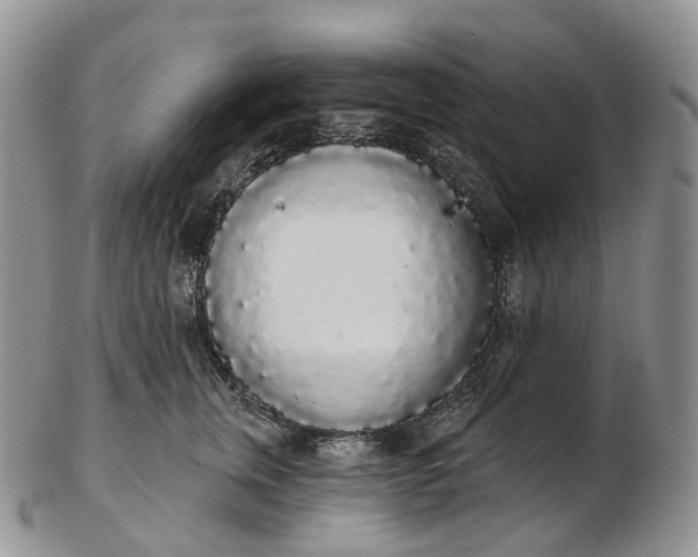 X0000102810759200809021158