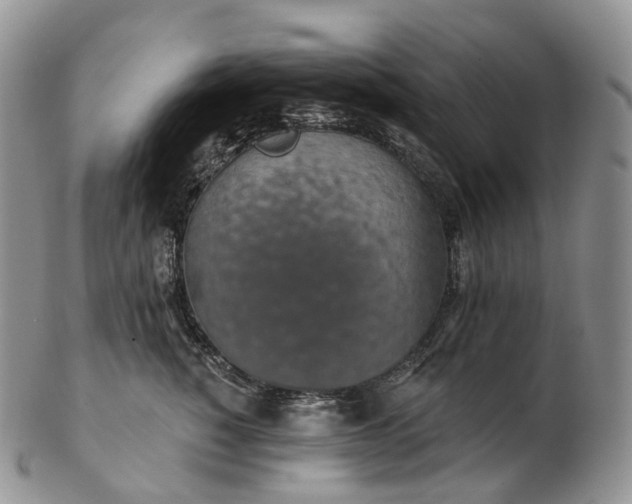 X0000102810760200809021158