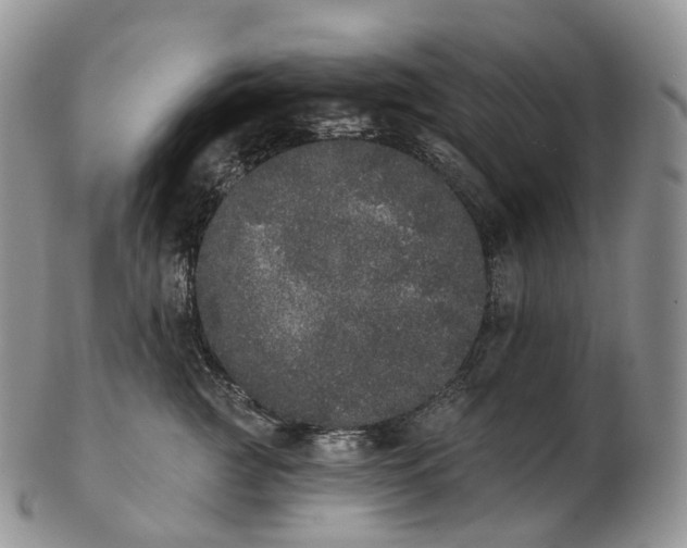 X0000102810761200809021158