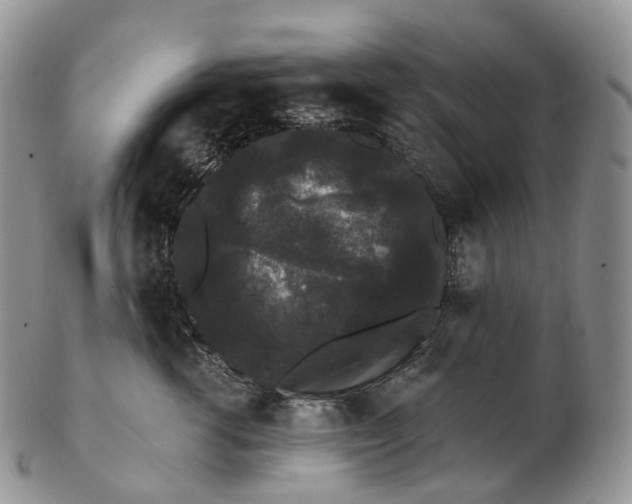 X0000102810762200809021158