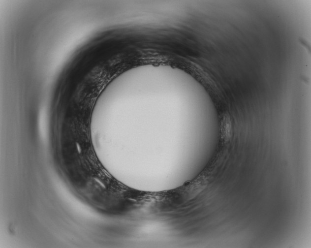 X0000102810764200809021158