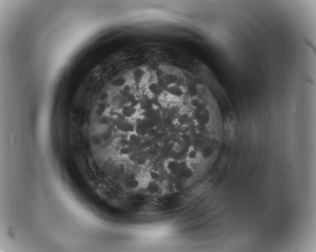 X0000102810765200809021159