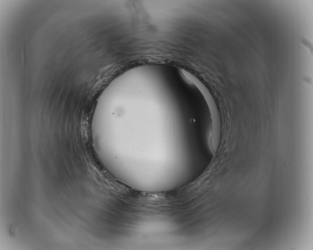 X0000102810768200809021159