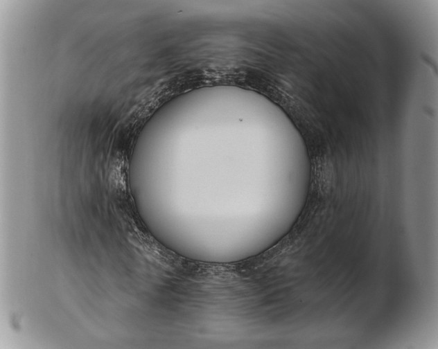 X0000102810770200809021158