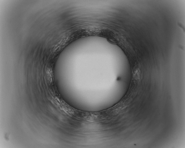 X0000102810772200809021158