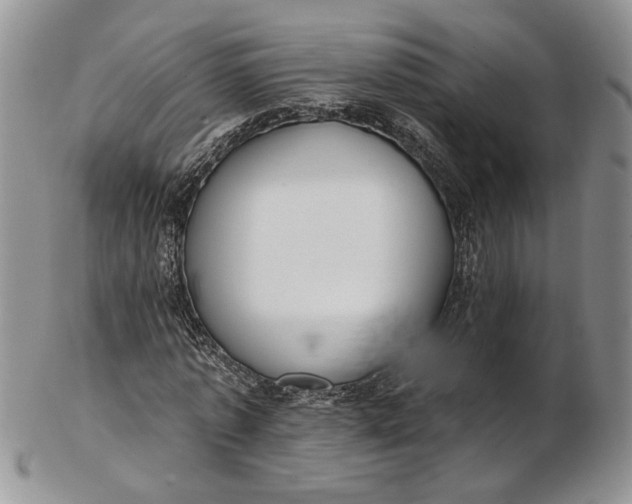 X0000102810773200809021158