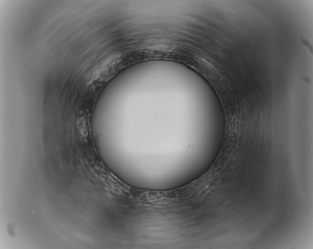 X0000102810774200809021158