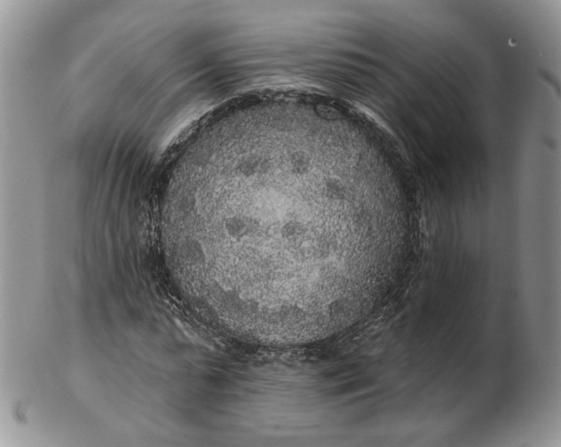 X0000102810775200809021158