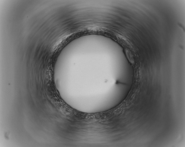 X0000102810776200809021158