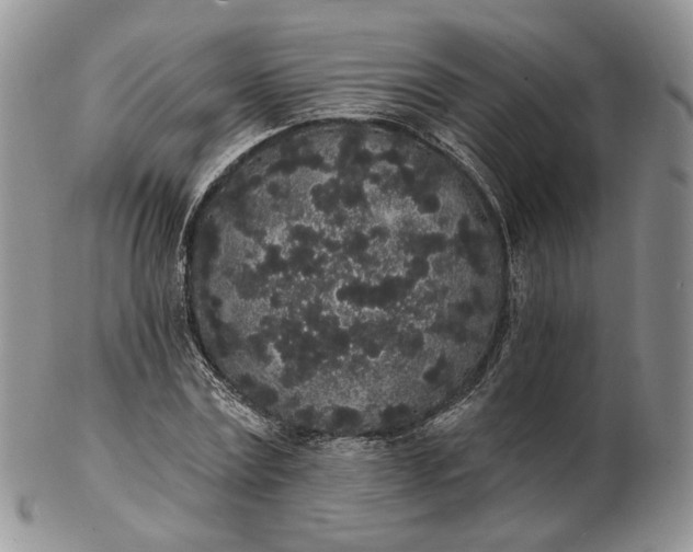 X0000102810779200809021158