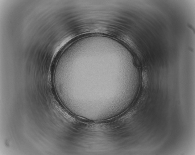 X0000102810780200809021158