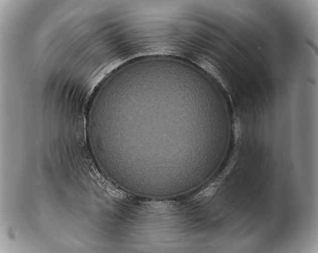 X0000102810781200809021158