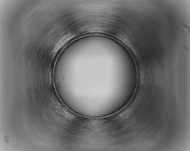 X0000102810782200809021158