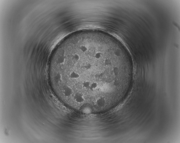 X0000102810783200809021158