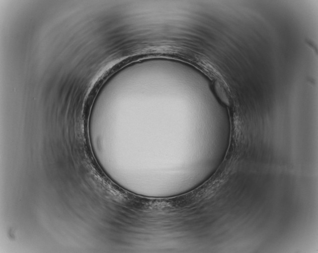 X0000102810784200809021158