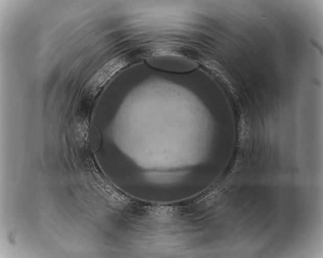 X0000102810785200809021158