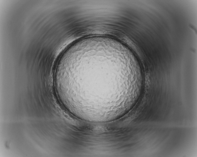 X0000102810787200809021158