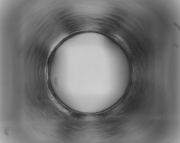 X0000102810796200809021158