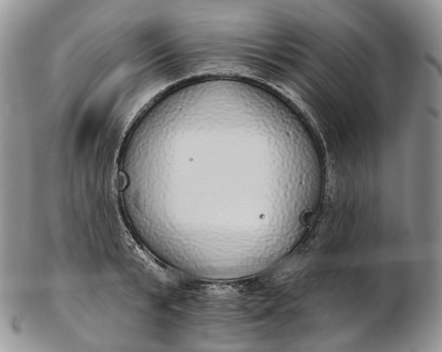 X0000102810799200809021157