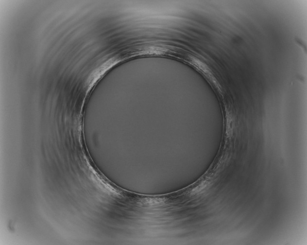 X0000102810802200809021157