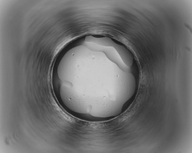 X0000102810803200809021157