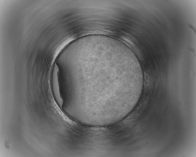 X0000102810804200809021157