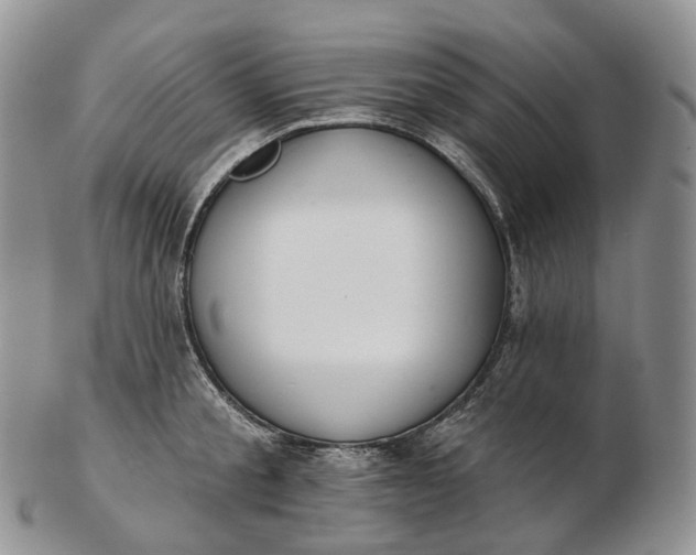 X0000102810805200809021157